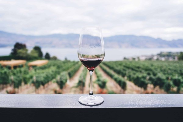Comment organiser une escapade romantique dans les vignobles de Napa Valley ?